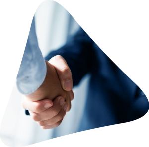brisk management